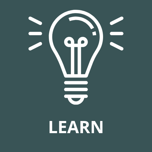 learn-skin