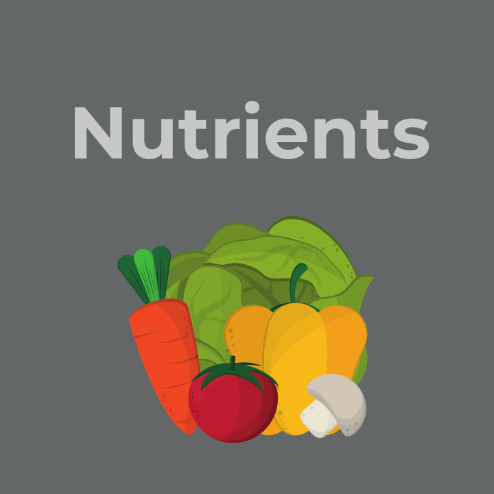 nutrients - Ms Longevity